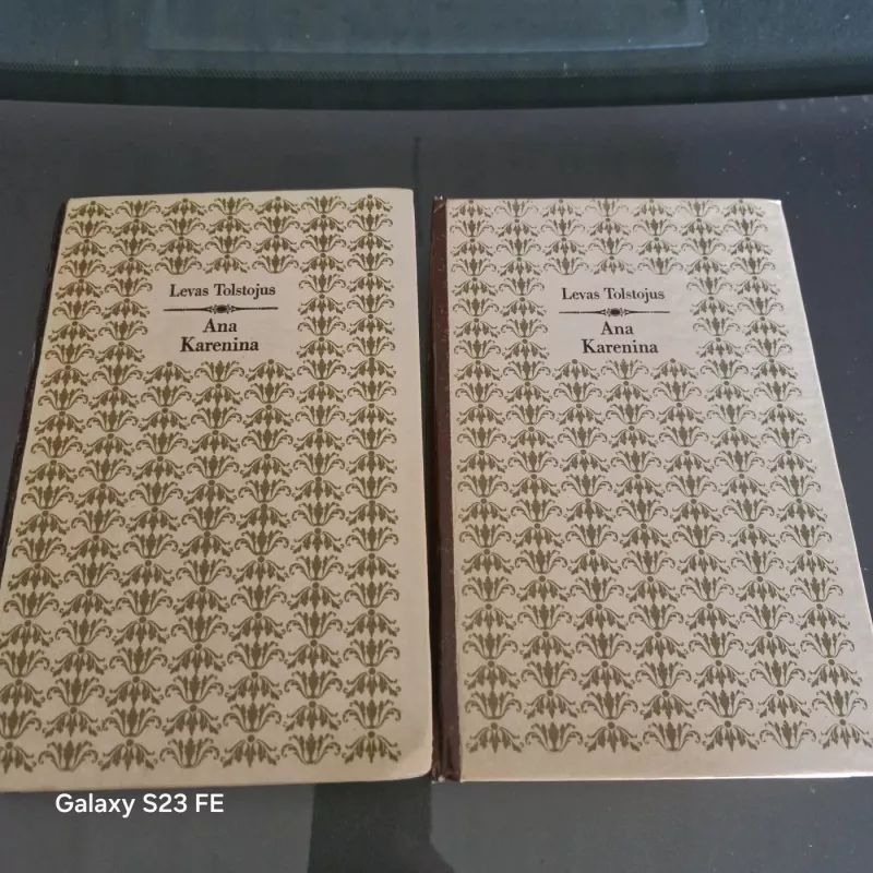 Ana Karenina (2 tomai) - Levas Tolstojus, knyga 2