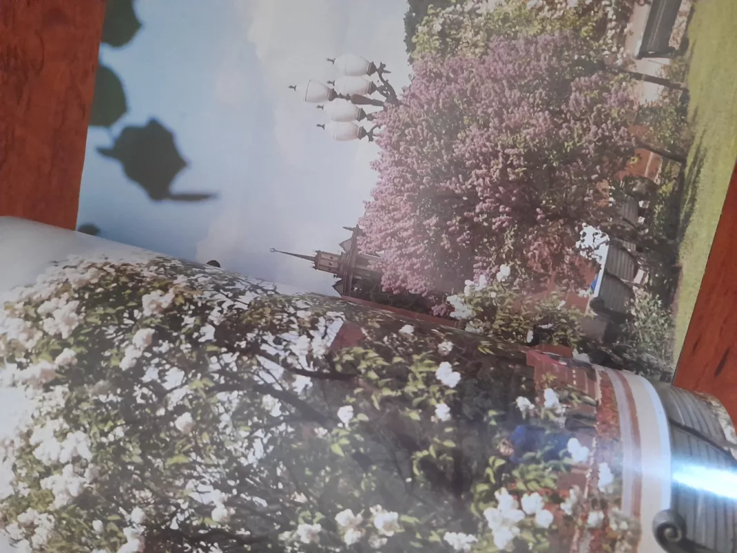 Vilnius - Algirdas Grubevičius, knyga 5