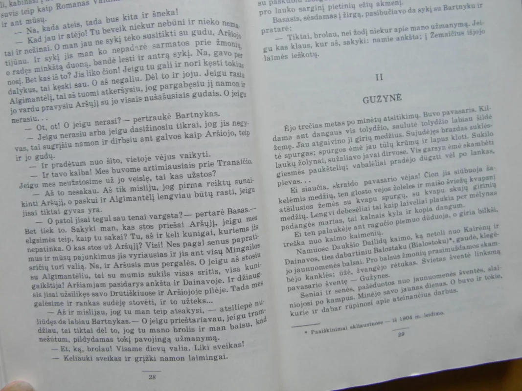 Algimantas - Vincas Pietaris, knyga 4