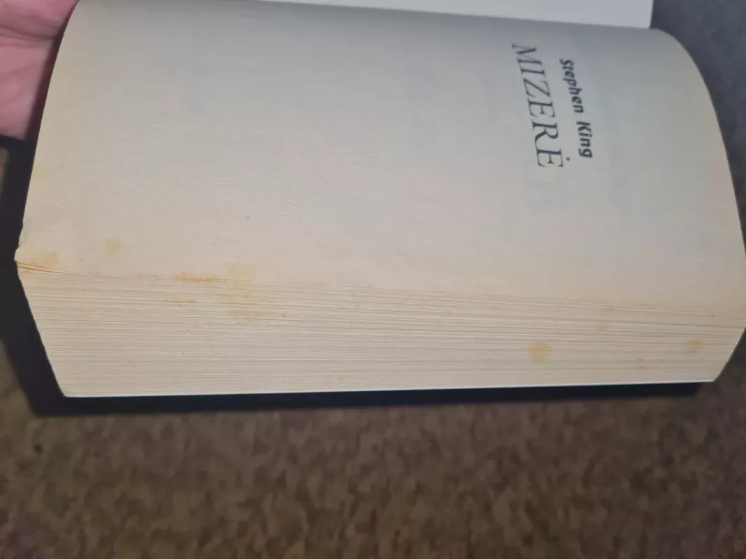 Mizerė - Stephen King, knyga 3