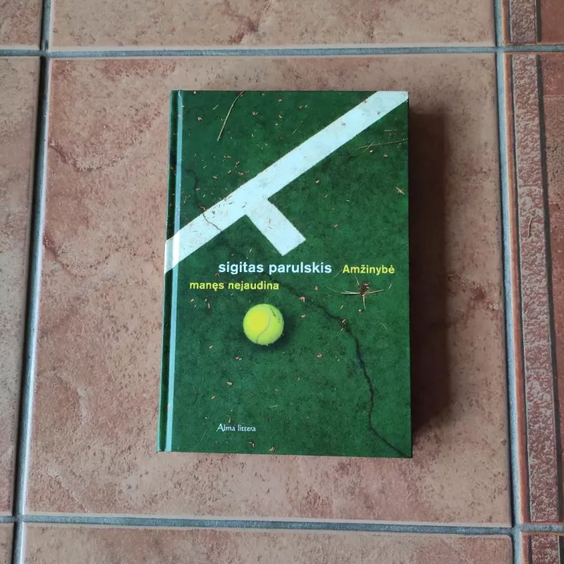 Amžinybė manęs nejaudina - Sigitas Parulskis, knyga 2