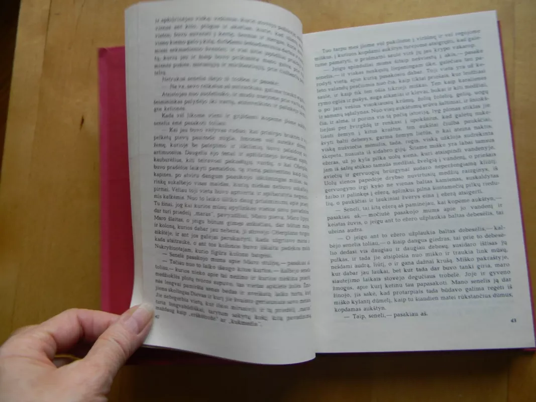 Austrų novelės - Autorių Kolektyvas, knyga 5