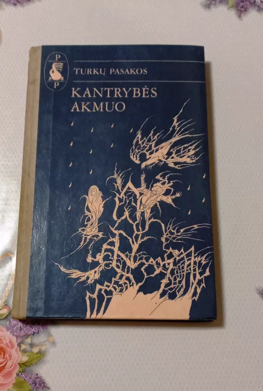 Kantrybės akmuo. Turkų pasakos - Autorių Kolektyvas, knyga 2