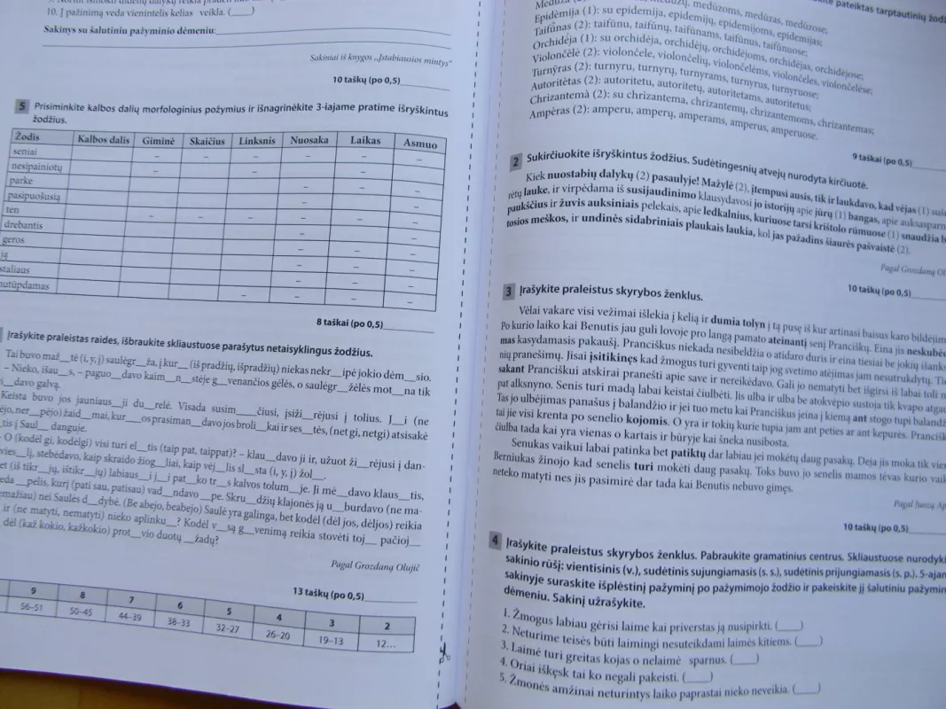 lietuviu kalbos testai 9 klasei - Rita Matulienė, knyga 4