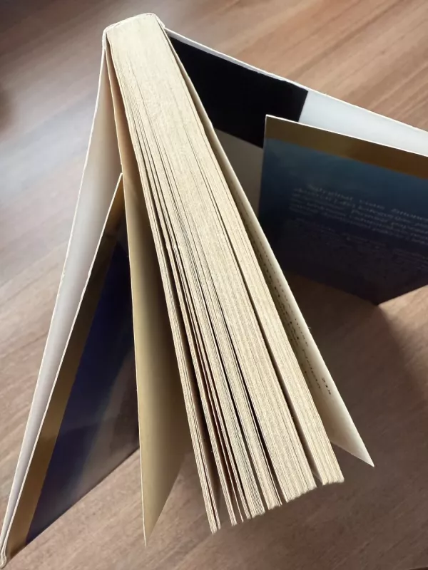 Plataus mąstymo jėga - David J.Schwartz, knyga 4