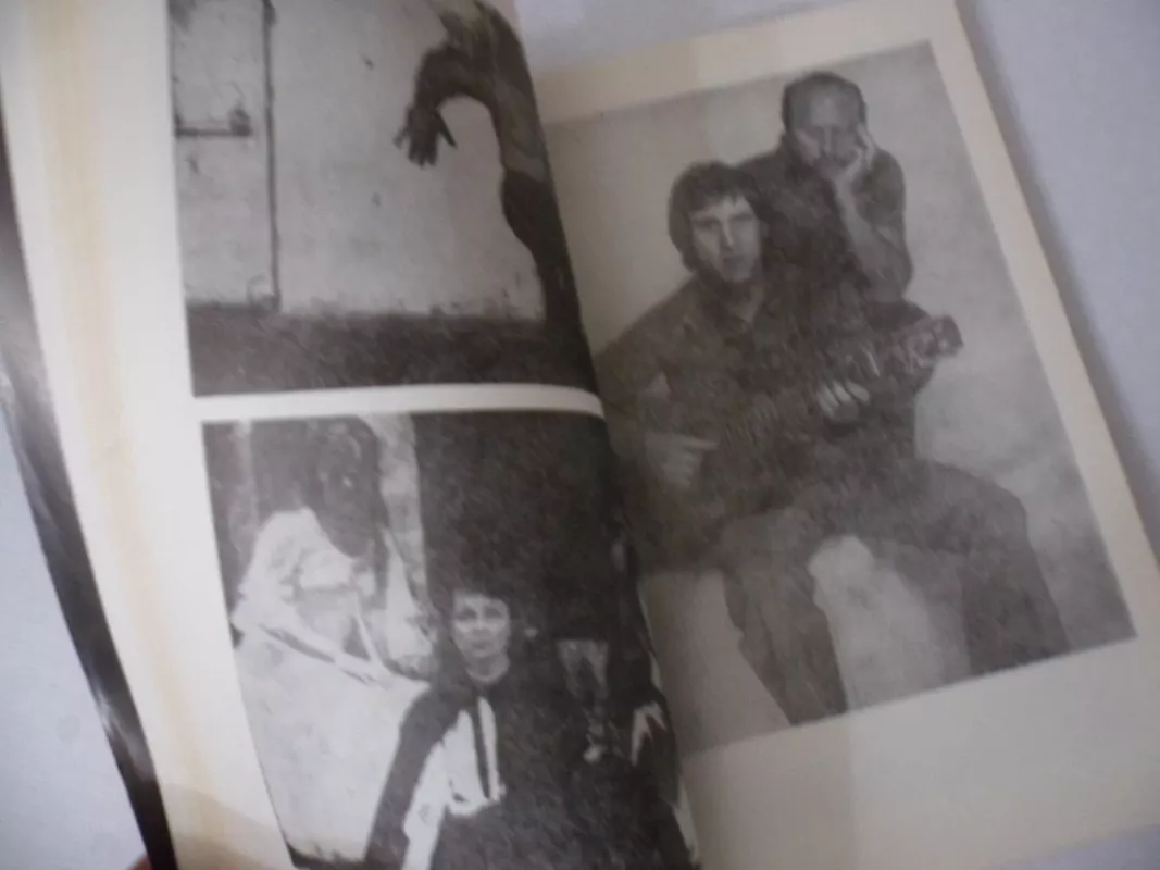 Vladimiras, arba nutrūkęs skrydis - Marina Vladi, knyga 4