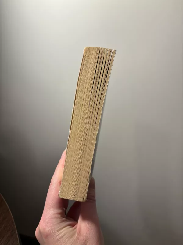 Virsmo taškas: kaip maži dalykai daro didelę įtaką - Malcolm Gladwell, knyga 4