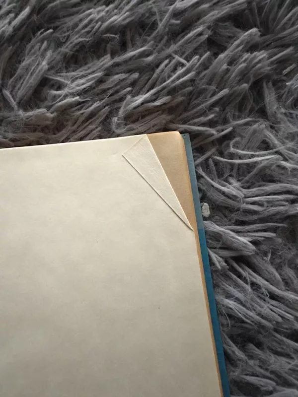 Katė ir pelė: romanas - Gunter Grass, knyga 4