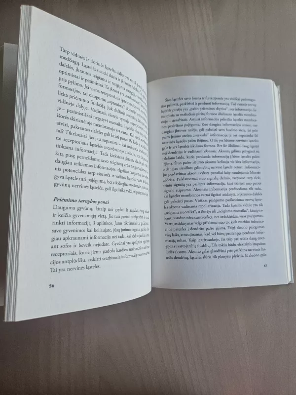 Jokios tylos miške: apie ką šnabždasi augalai ir gyvūnai - Madlen Ziege, knyga 3