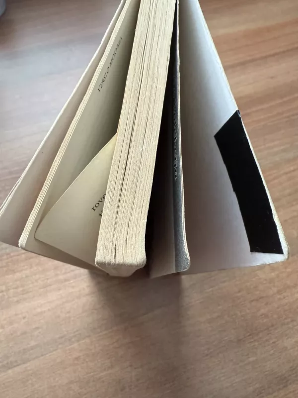 Verslo mokykla - Robert T. Kiyosaki, Sharon L.  Lechter, knyga 5