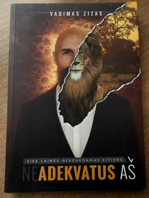 (Ne)adekvatus AŠ - Vadimas Zizas, knyga 2