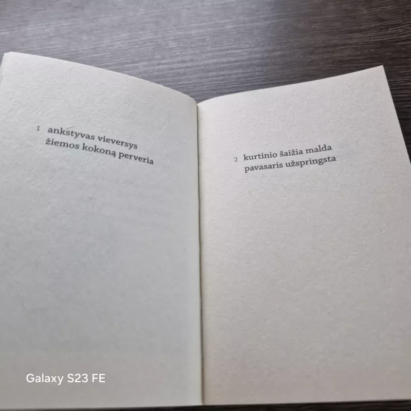 Simetrijos - Albinas Galinis, knyga 3