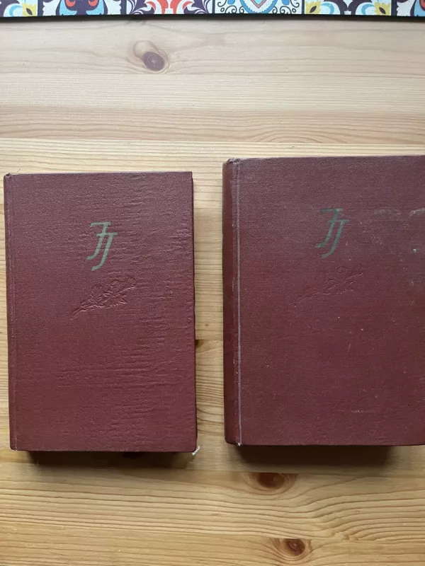 Raštai (2 tomai) - Julius Janonis, knyga 2