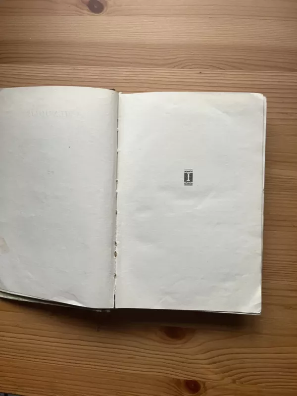 Puodžiūnkiemis - Antanas Vienuolis, knyga 4