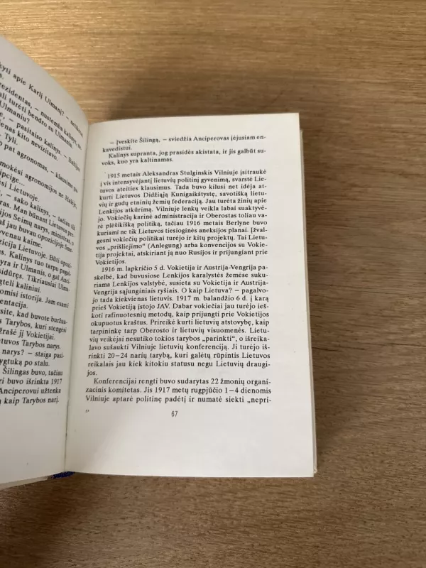 Aleksandras Stulginskis. Lietuvos prezidentas – Gulago kalinys - Alfonsas Eidintas, knyga 4
