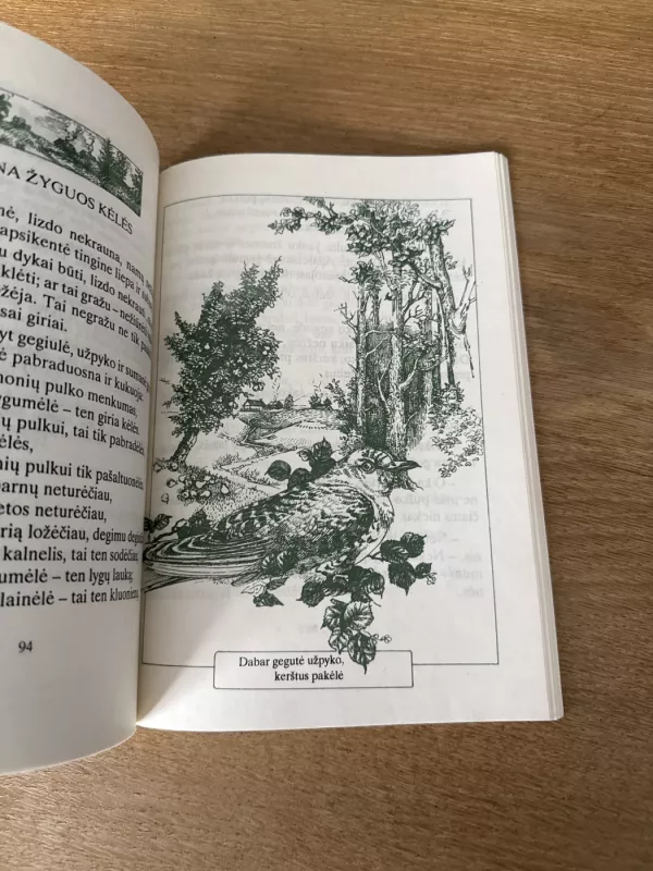 Girios medeliai, žali žaliuonėliai - Eugenija Šimkūnaitė, knyga 6