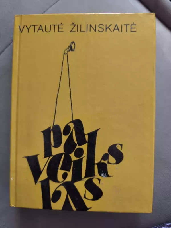 Paveikslas - Vytautė Žilinskaitė, knyga 2