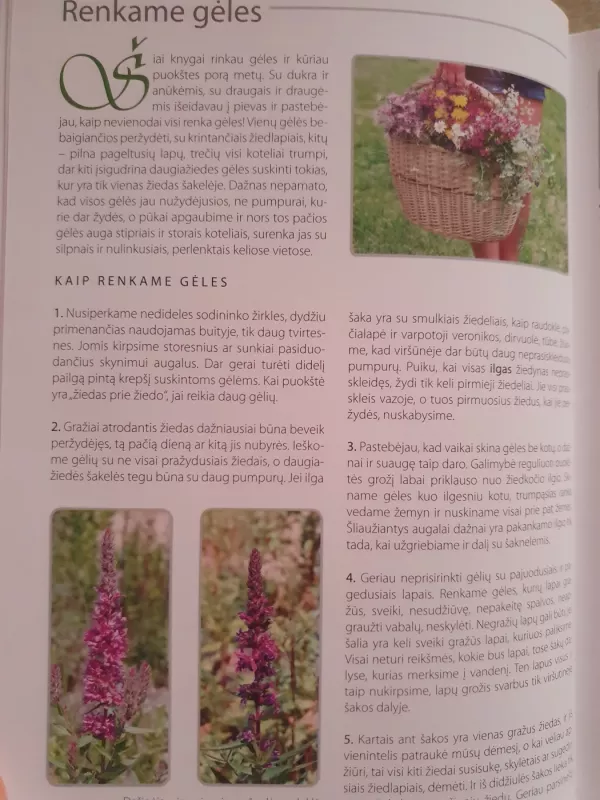 Lietuvos laukų ir pievų gėlių puokštės - Nijolė Degutienė, knyga 5