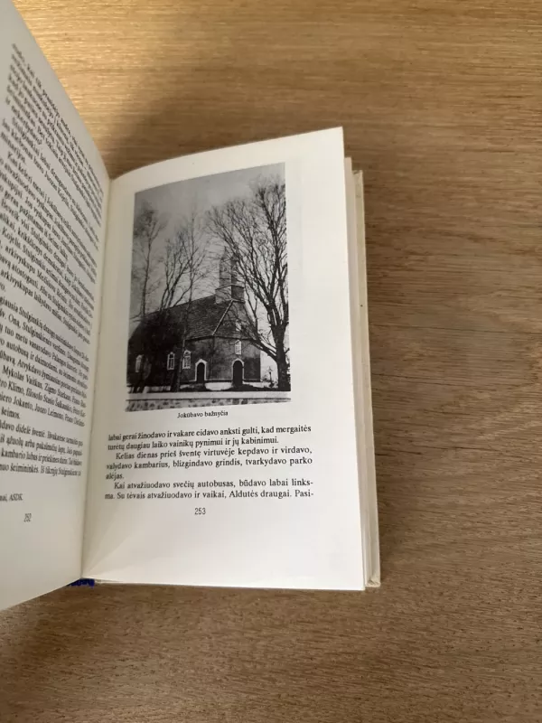 Aleksandras Stulginskis. Lietuvos prezidentas – Gulago kalinys - Alfonsas Eidintas, knyga 6