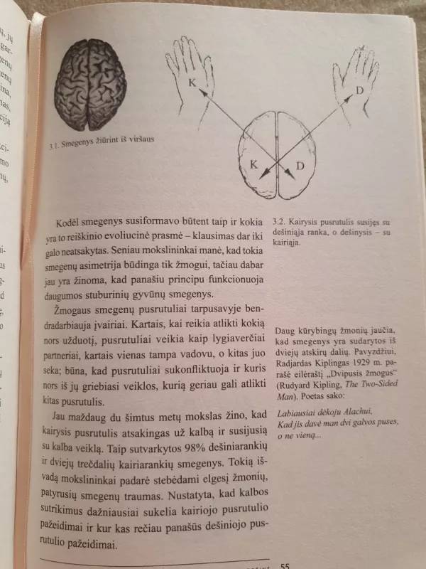 Pažadink savyje dailininką - Betty Edwards, knyga 4