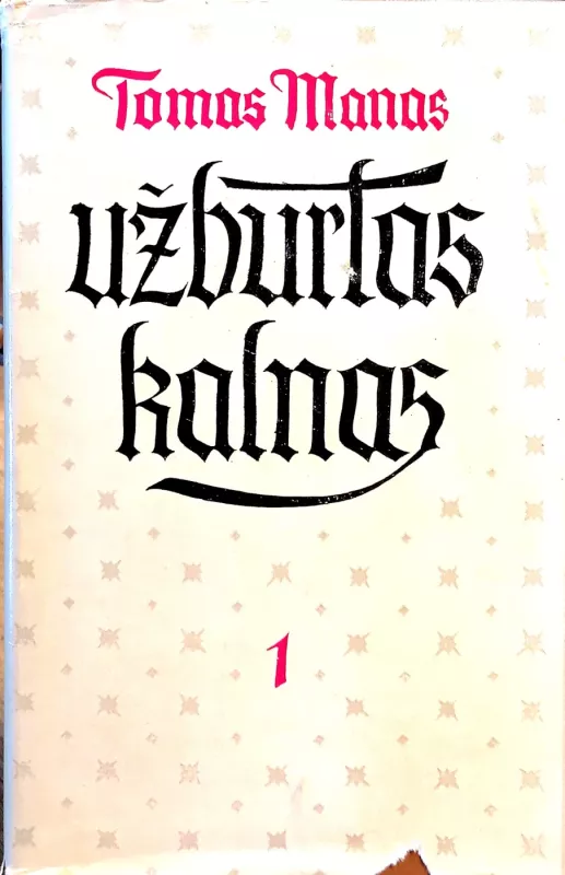 Užburtas kalnas (2 tomai) - Tomas Manas, knyga 2