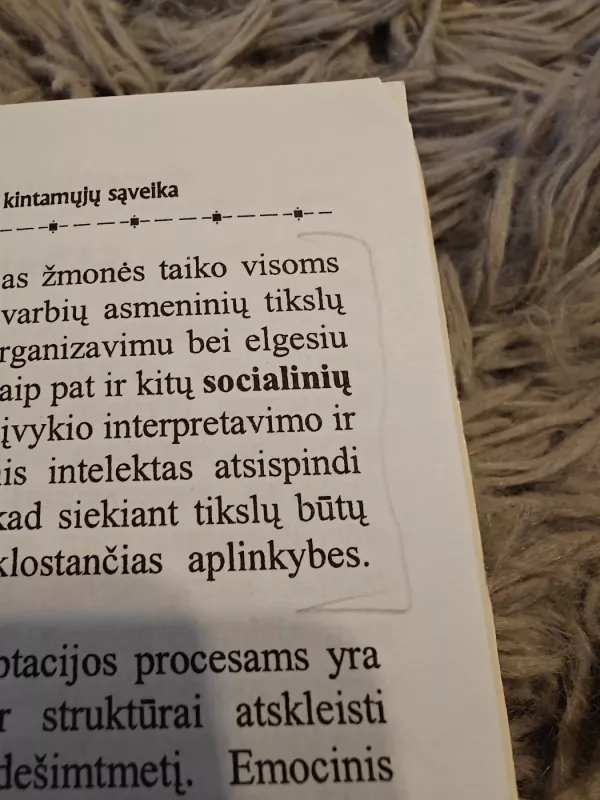 Asmenybės adaptacija: kintamųjų sąveika - Autorių Kolektyvas, knyga 5