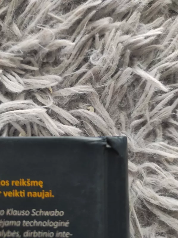 Ketvirtosios pramonės revoliucijos valdymas - Klaus Schwab, Nicholas Davis, knyga 3