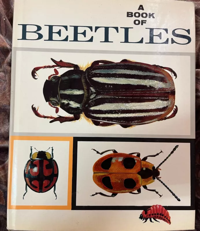 A Book Of Beetles (Dr. Josef R. Winkler - 1965) - A Book Of Beetles (Dr. Josef R. Winkler - 1965), Dr. Josef R. Winkler, knyga 2