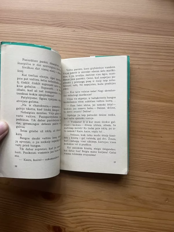 Interviu su kiemsargiu - Jonas Sadūnas, knyga 4