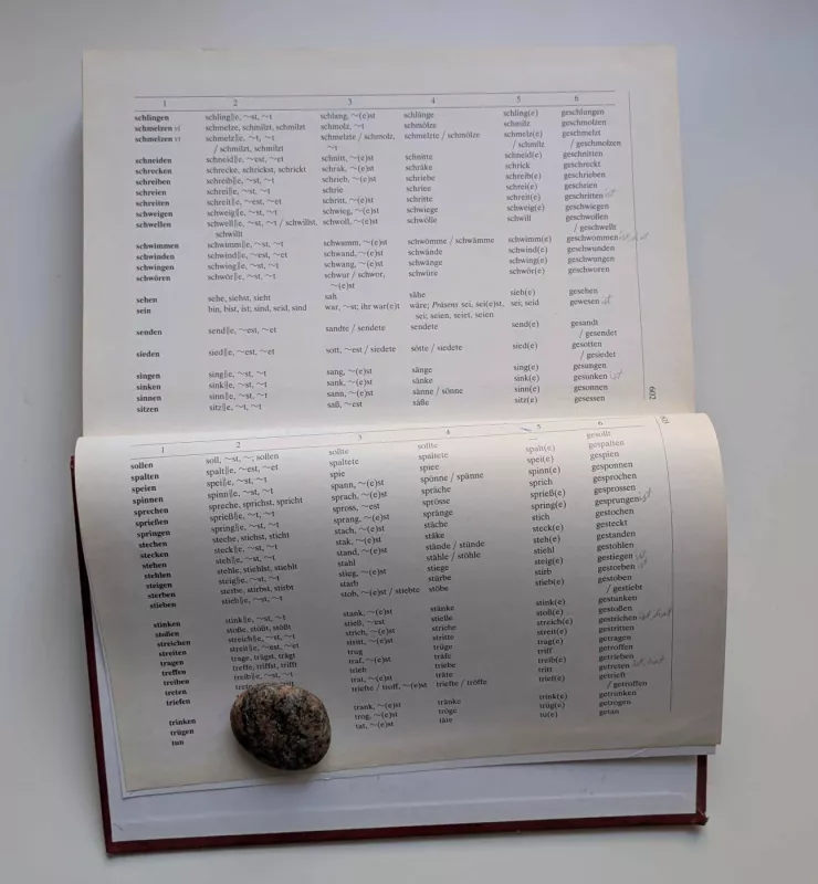 VOKIEČIŲ-LIETUVIŲ, LIETUVIŲ-VOKIEČIŲ KALBŲ ŽODYNAS - Juozas Križinauskas, knyga 5