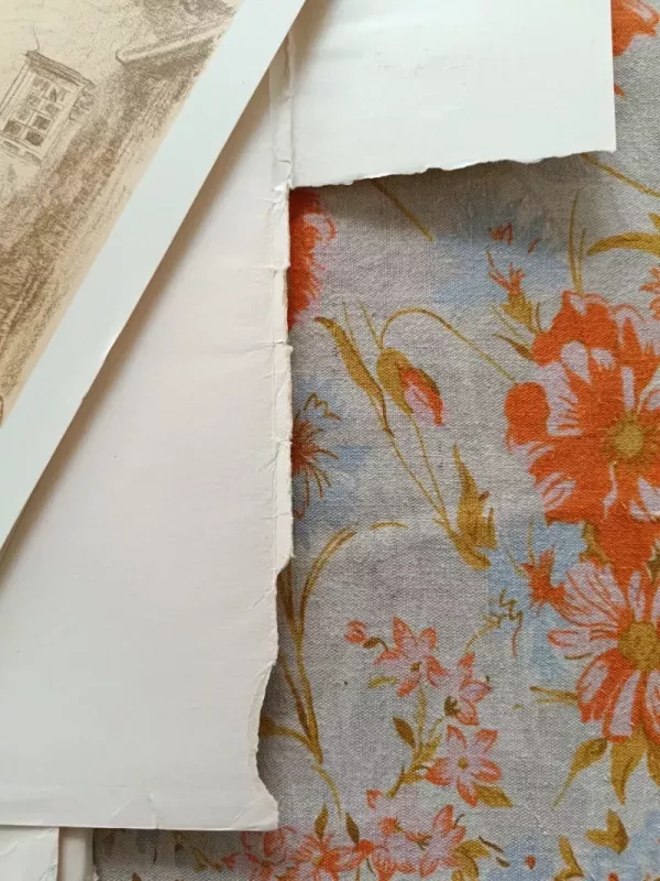 Mečislovas Bulaka Vilniaus senamiestis - J. Jurginis, knyga 5