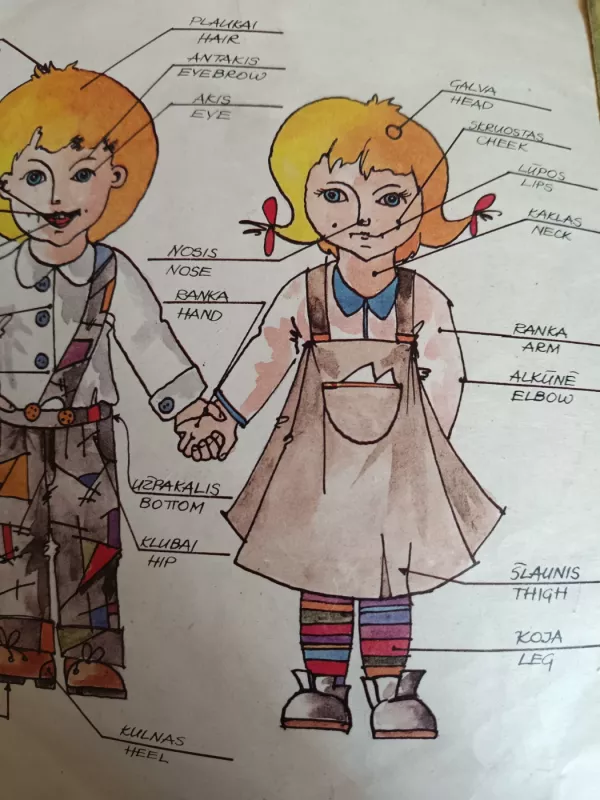 Anglų kalbos pamokėlės daugiau kaip 300 žodžių - Rinktinis kolektyvas, knyga 3