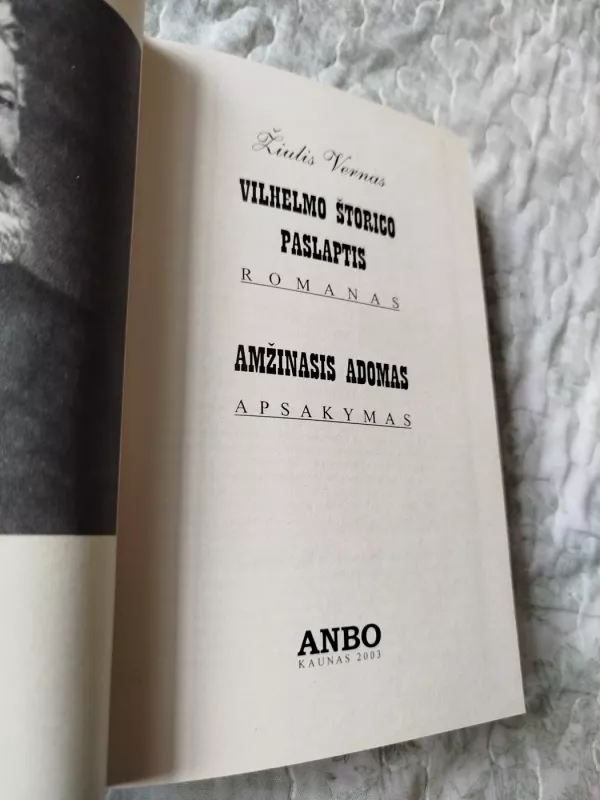 Vilhelmo Štorico paslaptis - Žiulis Vernas, knyga 3