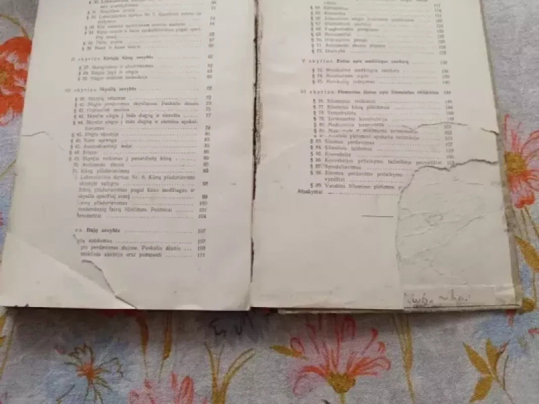 Fizika VI klasei - Rinktinis kolektyvas, knyga 2