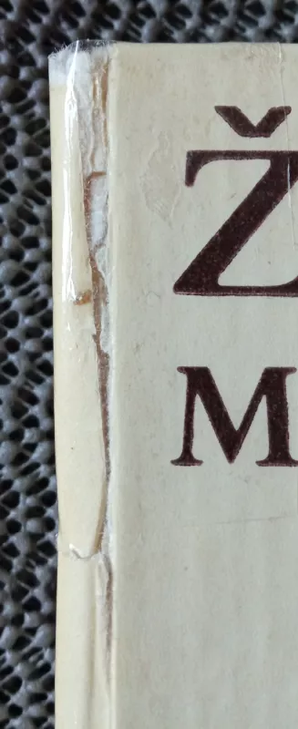 Marti - Žemaitė, knyga 4