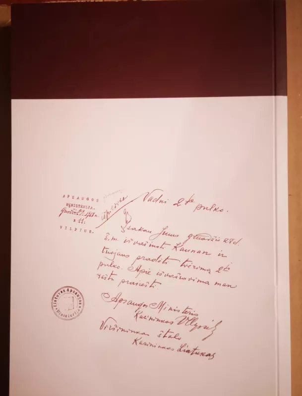 Antrasis Lietuvos Didžiojo Kunigaikščio Algirdo pėstininkų pulkas - Gintautas Surgailis, knyga 3