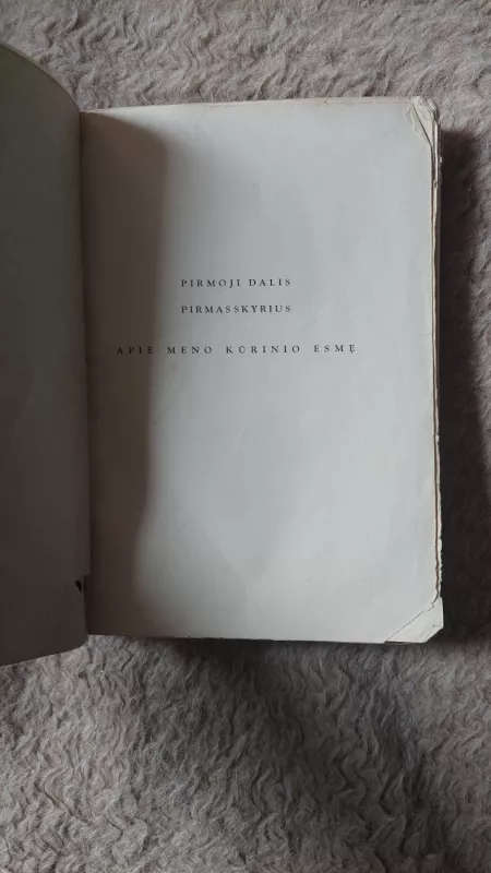 Meno filosofija (1 dalis) - Hippolyte Taine, knyga 6