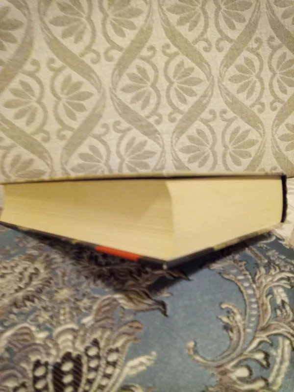 Vilius Karalius - Ieva Simonaitytė, knyga 4