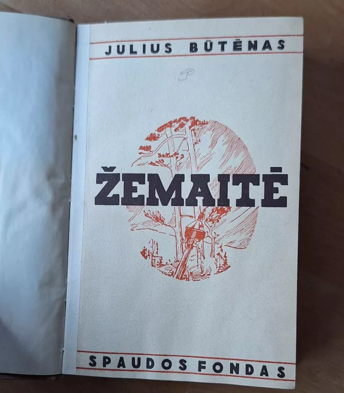 Žemaitė - Julius Būtėnas, knyga 2