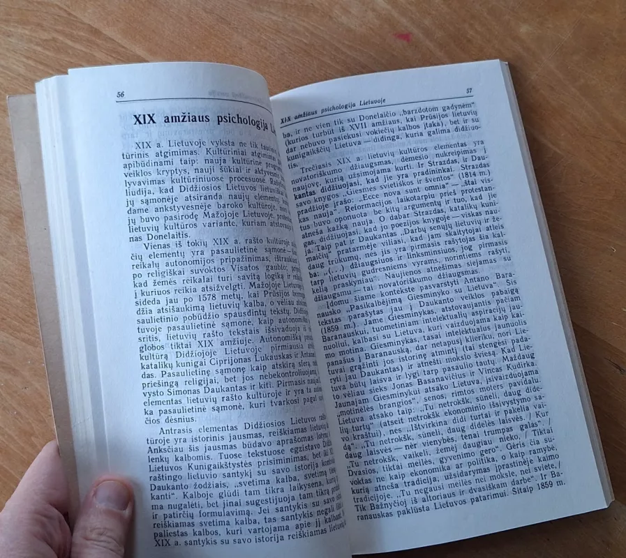 Moterys ir vyrai lietuvių kultūroje - Vytautas Kavolis, knyga 6