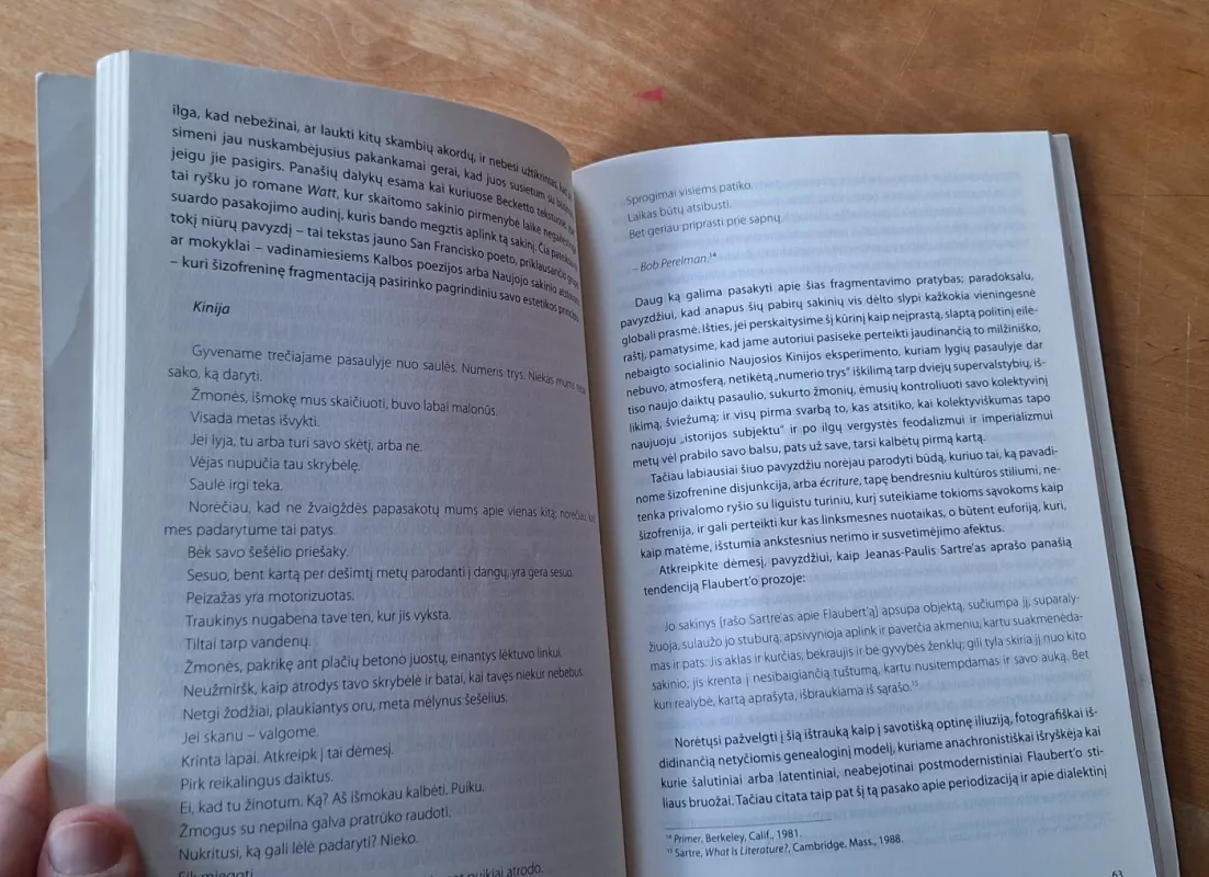 Post / Modernizmas - Audronė Žukauskaitė, knyga 5