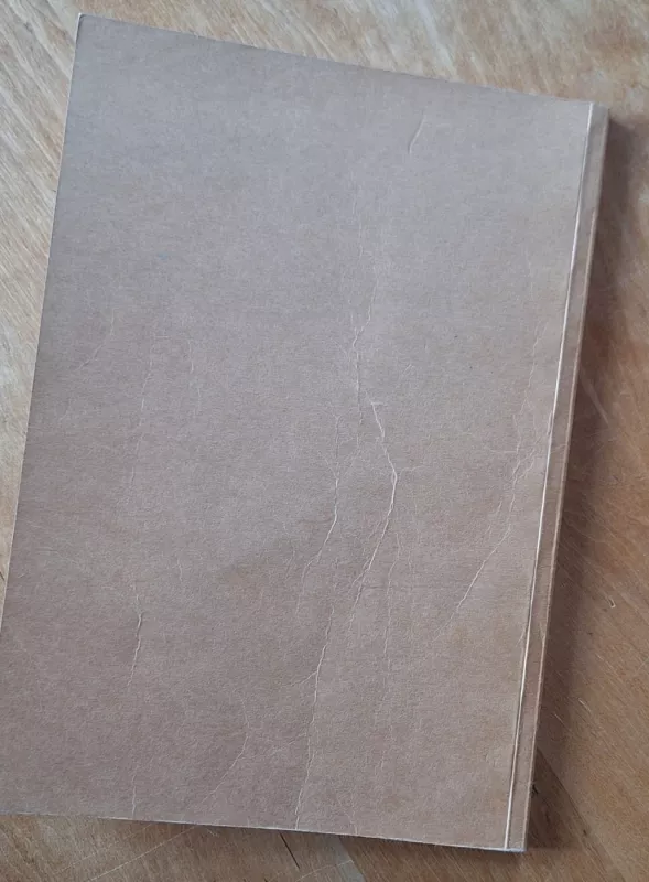 Post / Modernizmas - Audronė Žukauskaitė, knyga 3