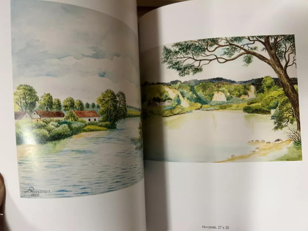 Alfonsas  Pivoriūnas - Jonas Rudzinskas, knyga 6