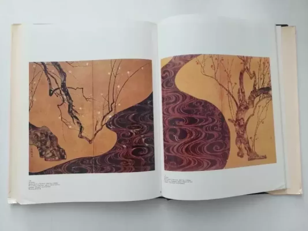 Klasikinis japonu menas - V. E. Brodskij, knyga 6