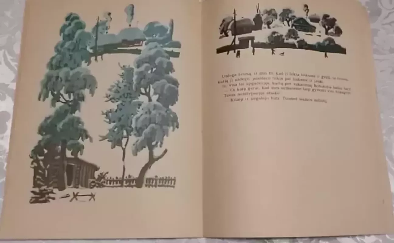 Popieriniai balandžiai - Jonas Drucė, knyga 3