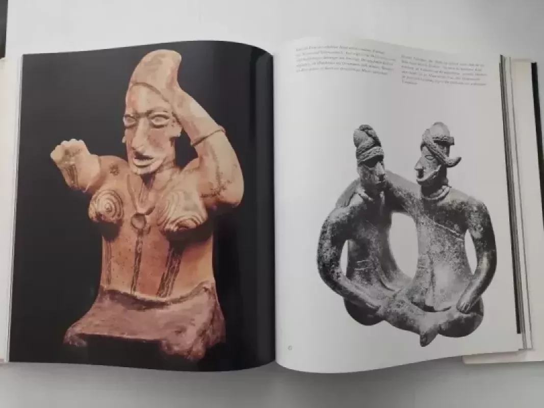 Moteris senovės Afrikos mene - Ferdinand Anton, knyga 6