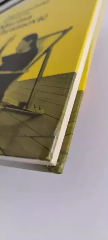 Psichoanalitikė kalbasi su Marina Abramović. Menininkė kalbasi su Jeannette Fischer - Jeannette Fischer, knyga 4