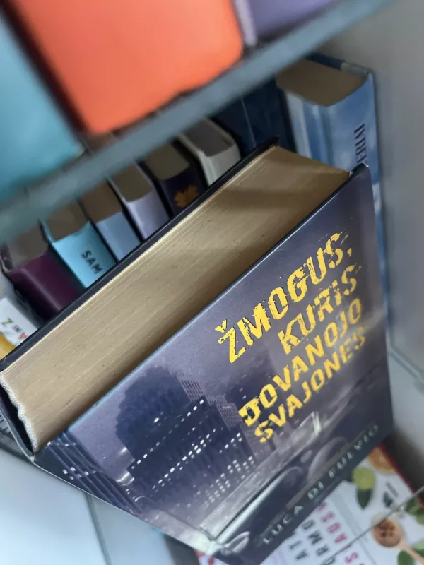 Žmogus, kuris dovanojo svajones - Luca Di Fulvio, knyga 2