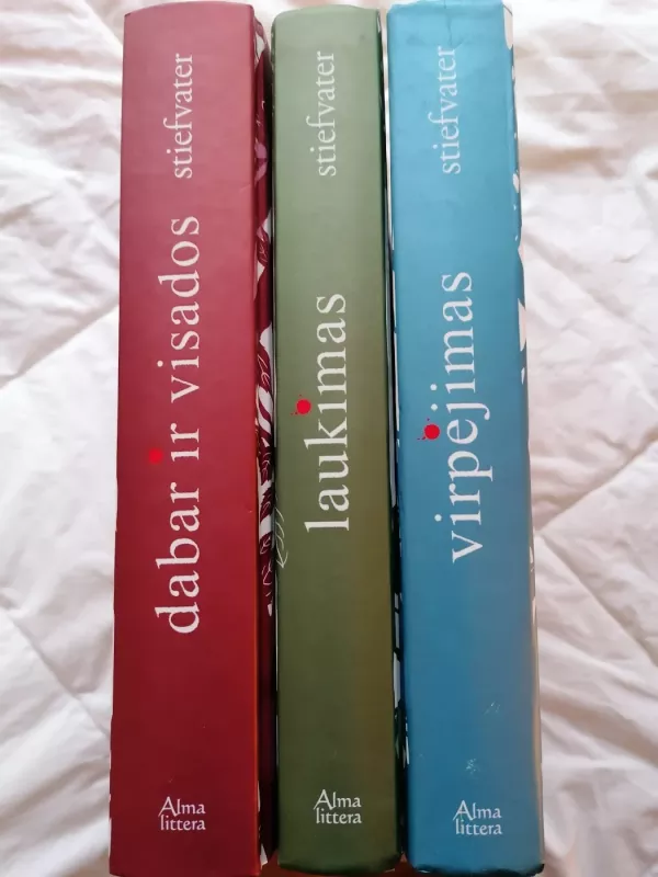 Trilogija Virpėjimas, Laukimas, Dabar ir visados - Maggie Stiefvater, knyga 2