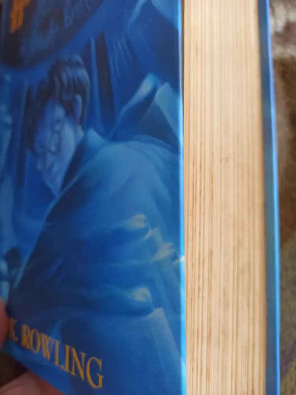 Haris Poteris ir Fenikso Brolija - Rowling J. K., knyga 3